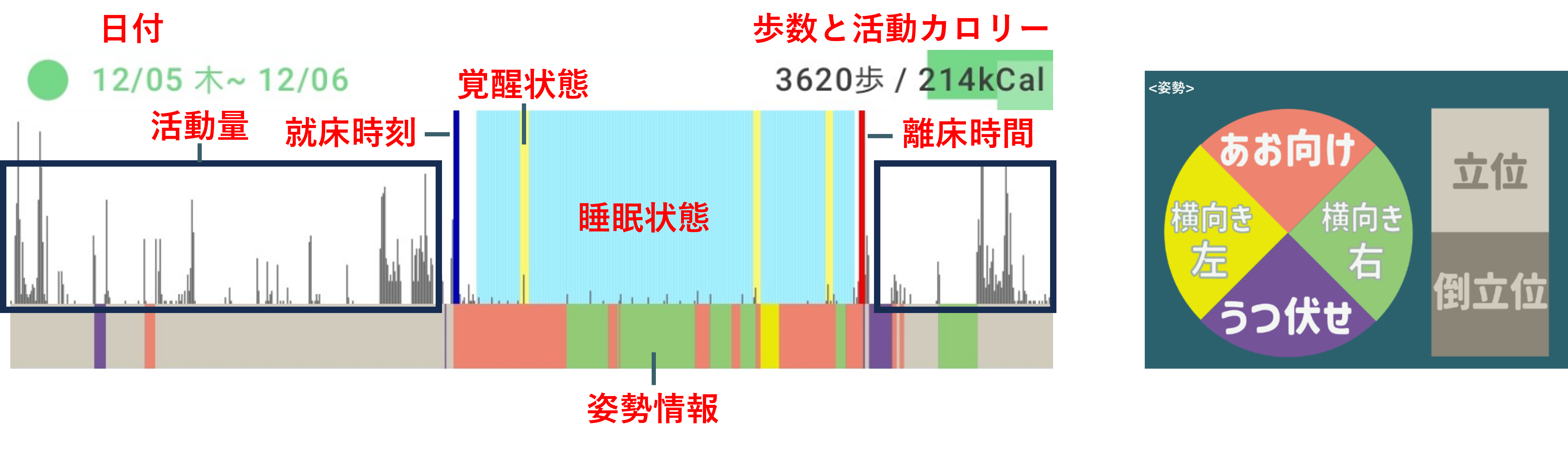 睡眠グラフ-見方画面